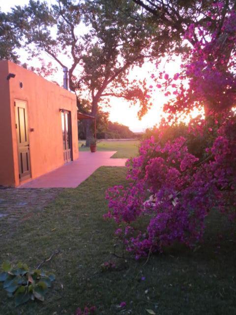 La Casona De San Pedro Villa Colonia del Sacramento Buitenkant foto